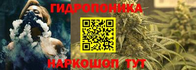 эйфоретик Будённовск