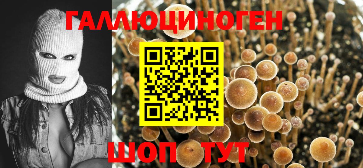 Галлюциногенные грибы Psilocybe  Псилоцибиновые грибы GOLDEN TEACHER  Вход с VPN  Семёнов 
